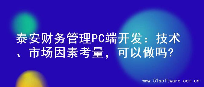 泰安财务管理PC端开发：技术、市场因素考量，可以做吗?