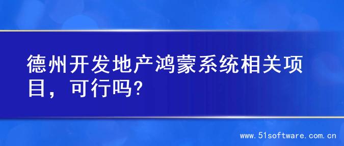 德州开发地产鸿蒙系统相关项目，可行吗?