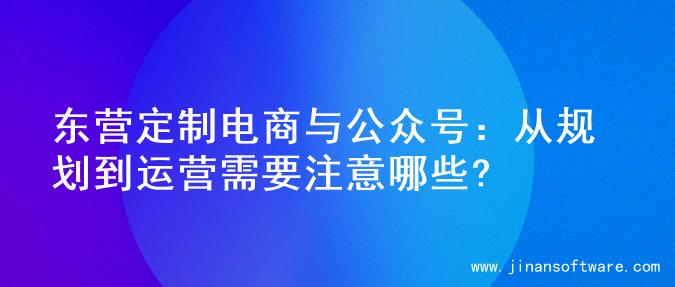 东营定制电商与公众号：从规划到运营需要注意哪些?