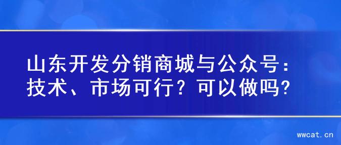 山东开发分销商城与公众号：技术、市场可行？可以做吗?