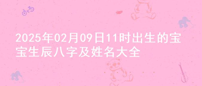 2025年02月09日11时出生的宝宝生辰八字及姓名大全