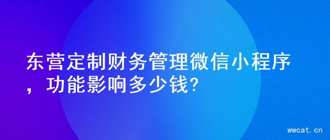 东营定制财务管理微信小程序，功能影响多少钱?