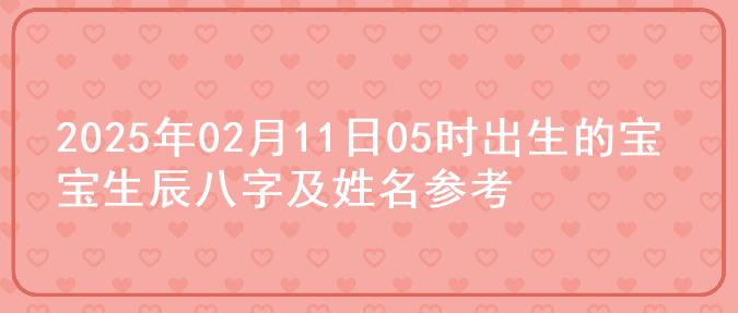 2025年02月11日05时出生的宝宝生辰八字及姓名参考