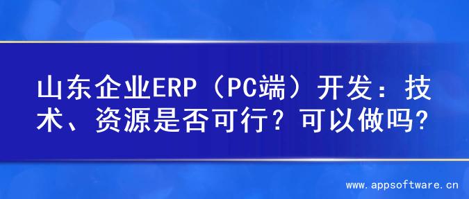 山东企业ERP（PC端）开发：技术、资源是否可行？可以做吗?