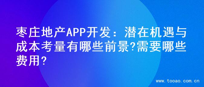 枣庄地产APP开发：潜在机遇与成本考量有哪些前景?需要哪些费用?