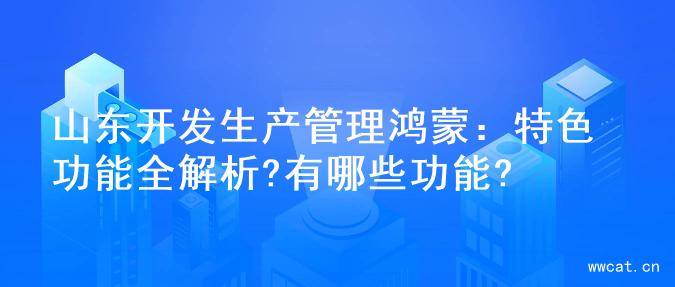 山东开发生产管理鸿蒙：特色功能全解析?有哪些功能?