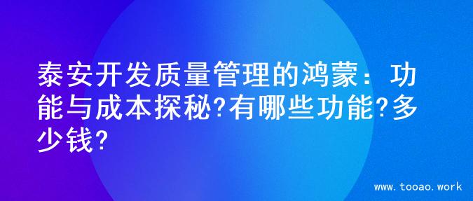 泰安开发质量管理的鸿蒙：功能与成本探秘?有哪些功能?多少钱?