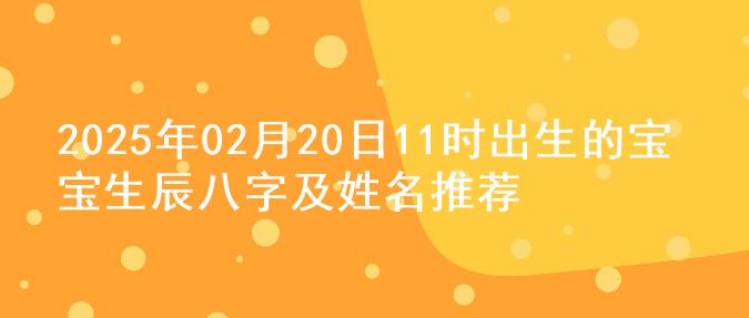 2025年02月20日11时出生的宝宝生辰八字及姓名推荐