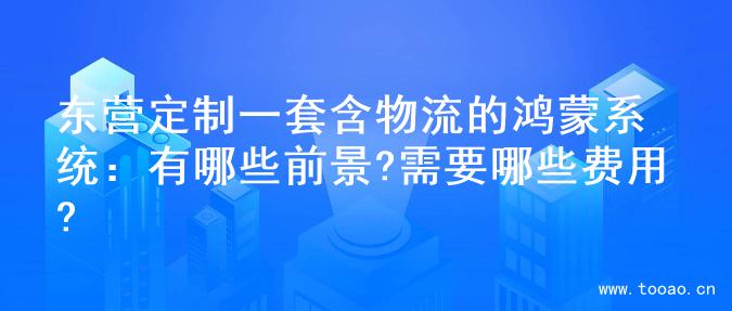 东营定制一套含物流的鸿蒙系统：有哪些前景?需要哪些费用?