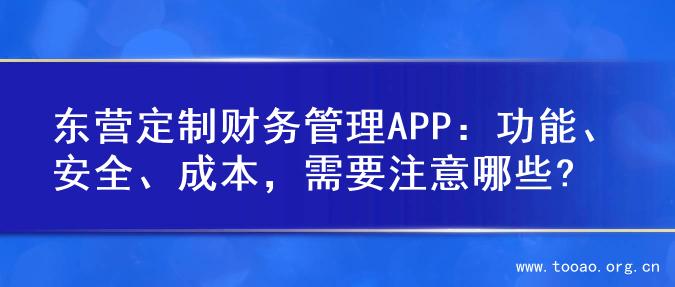 东营定制财务管理APP：功能、安全、成本，需要注意哪些?