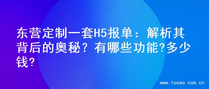 东营定制一套H5报单：解析其背后的奥秘？有哪些功能?多少钱?