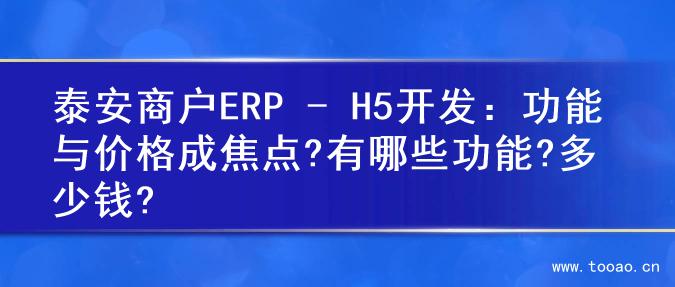 泰安商户ERP - H5开发：功能与价格成焦点?有哪些功能?多少钱?