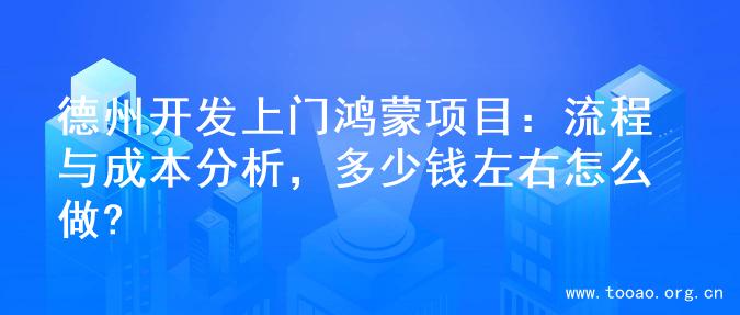 德州开发上门鸿蒙项目：流程与成本分析，多少钱左右怎么做?