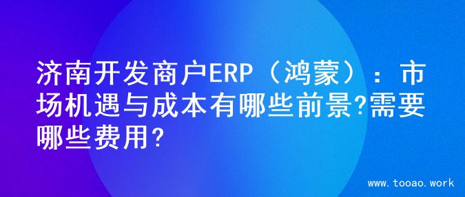 济南开发商户ERP（鸿蒙）：市场机遇与成本有哪些前景?需要哪些费用?