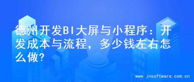 德州开发BI大屏与小程序：开发成本与流程，多少钱左右怎么做?