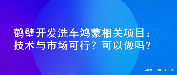 鶴壁開發(fā)洗車?guó)櫭上嚓P(guān)項(xiàng)目：技術(shù)與市場(chǎng)可行？可以做嗎?