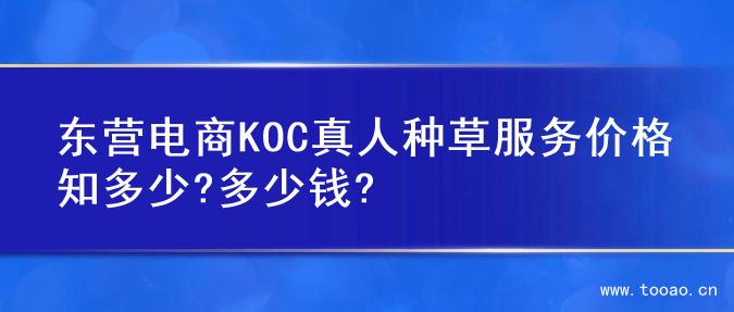东营电商KOC真人种草服务价格知多少?多少钱?