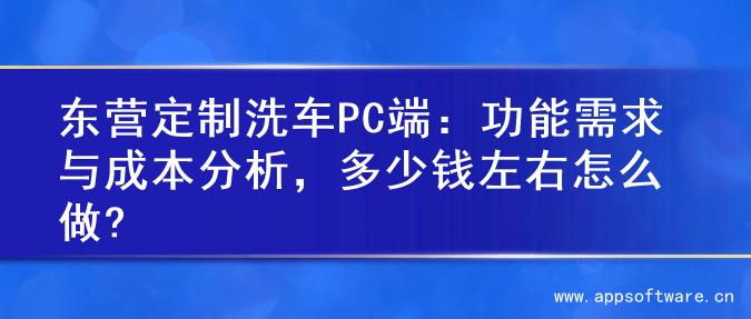 东营定制洗车PC端：功能需求与成本分析，多少钱左右怎么做?