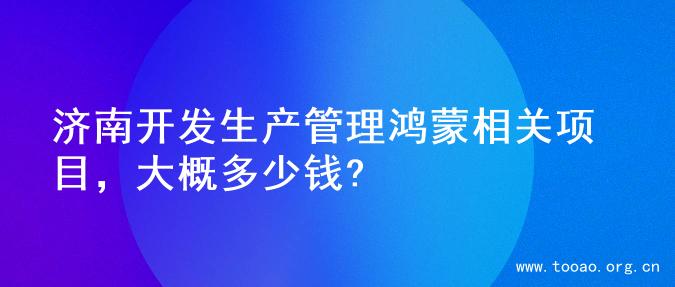 济南开发生产管理鸿蒙相关项目，大概多少钱?