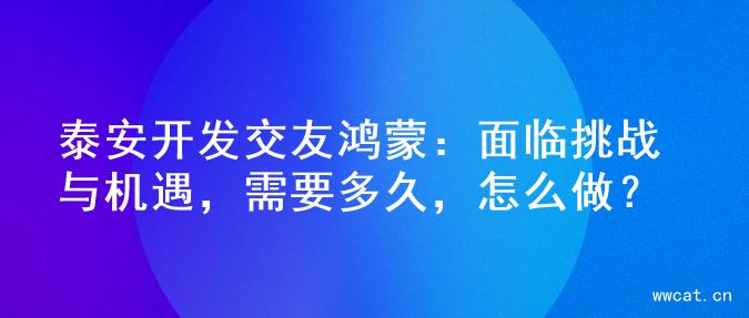 泰安开发交友鸿蒙：面临挑战与机遇，需要多久，怎么做？