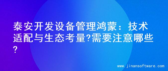 泰安开发设备管理鸿蒙：技术适配与生态考量?需要注意哪些?