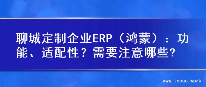 聊城定制企业ERP（鸿蒙）：功能、适配性？需要注意哪些?
