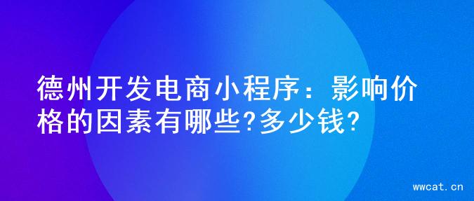 德州开发电商小程序：影响价格的因素有哪些?多少钱?