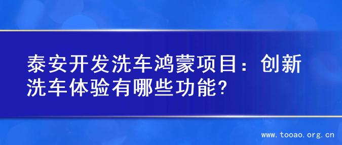 泰安开发洗车鸿蒙项目：创新洗车体验有哪些功能?
