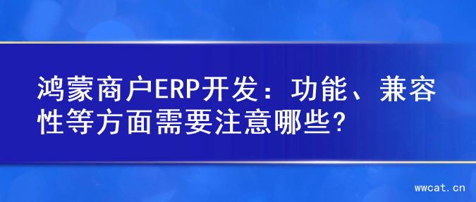 鸿蒙商户ERP开发：功能、兼容性等方面需要注意哪些?