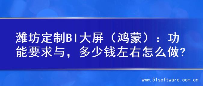 潍坊定制BI大屏（鸿蒙）：功能要求与，多少钱左右怎么做?