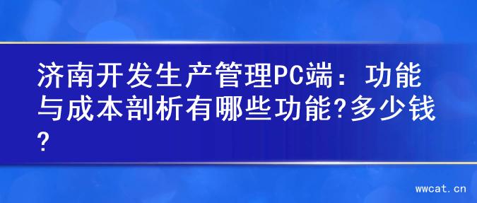 济南开发生产管理PC端：功能与成本剖析有哪些功能?多少钱?