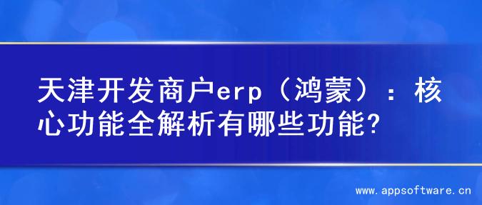 天津开发商户erp（鸿蒙）：核心功能全解析有哪些功能?
