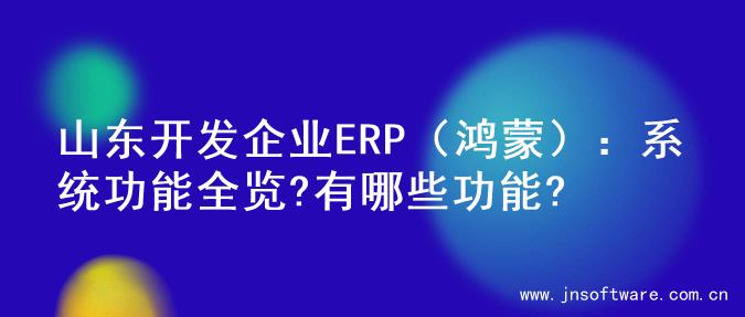 山东开发企业ERP（鸿蒙）：系统功能全览?有哪些功能?