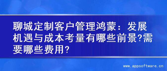 聊城定制客户管理鸿蒙：发展机遇与成本考量有哪些前景?需要哪些费用?