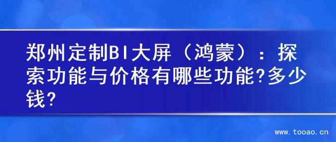郑州定制BI大屏（鸿蒙）：探索功能与价格有哪些功能?多少钱?