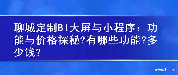 聊城定制BI大屏与小程序：功能与价格探秘?有哪些功能?多少钱?