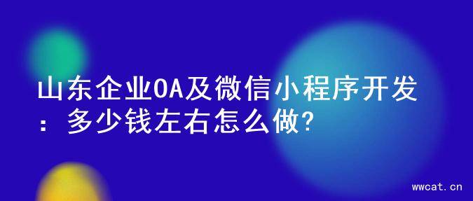 山东企业OA及微信小程序开发：多少钱左右怎么做?