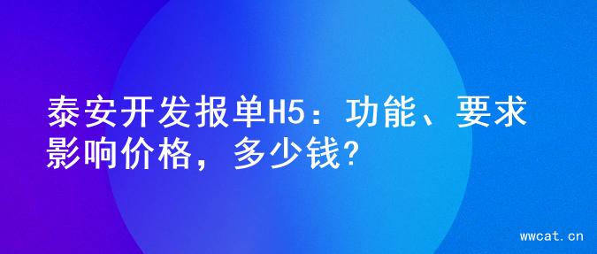 泰安开发报单H5：功能、要求影响价格，多少钱?