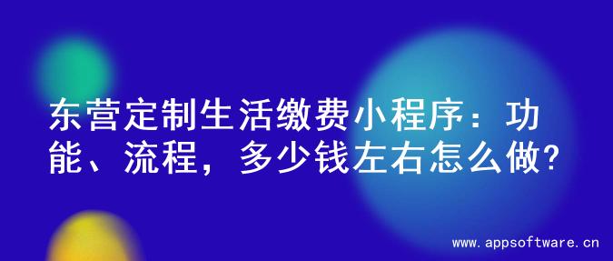 东营定制生活缴费小程序：功能、流程，多少钱左右怎么做?