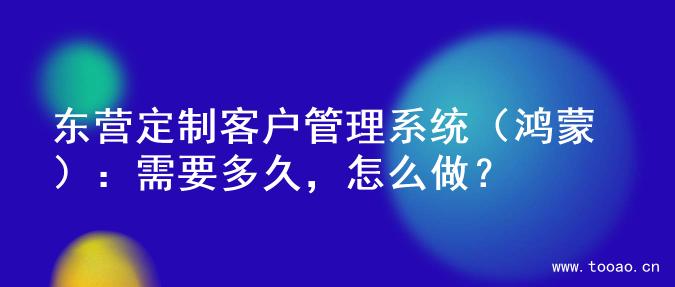 东营定制客户管理系统（鸿蒙）：需要多久，怎么做？
