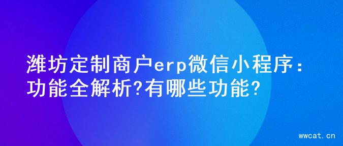 潍坊定制商户erp微信小程序：功能全解析?有哪些功能?