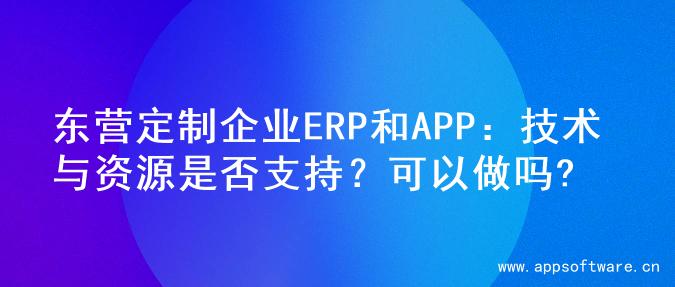 东营定制企业ERP和APP：技术与资源是否支持？可以做吗?