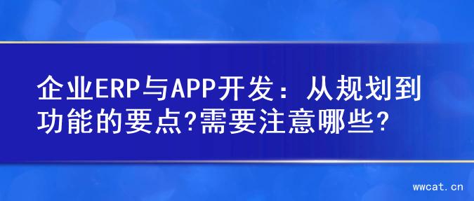 企业ERP与APP开发：从规划到功能的要点?需要注意哪些?