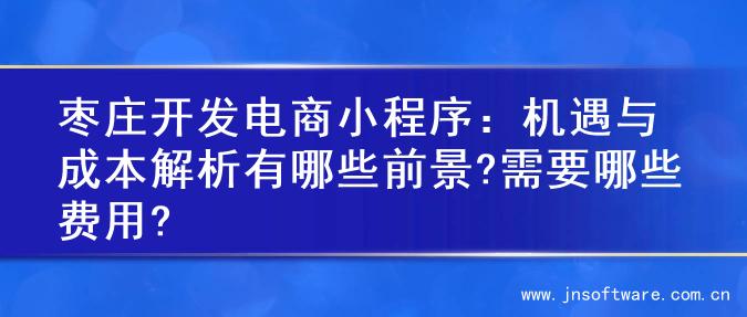 枣庄开发电商小程序：机遇与成本解析有哪些前景?需要哪些费用?