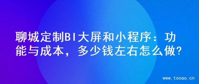 聊城定制BI大屏和小程序：功能与成本，多少钱左右怎么做?