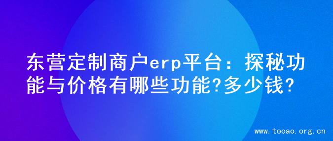 东营定制商户erp平台：探秘功能与价格有哪些功能?多少钱?