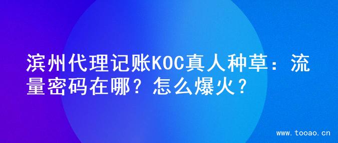 滨州代理记账KOC真人种草：流量密码在哪？怎么爆火？