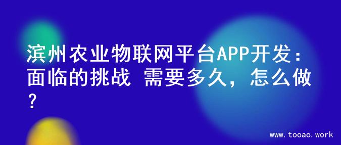 滨州农业物联网平台APP开发：面临的挑战 需要多久，怎么做？