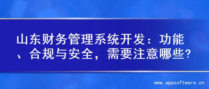 山东财务管理系统开发：功能、合规与安全，需要注意哪些?
