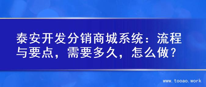 泰安开发分销商城系统：流程与要点，需要多久，怎么做？